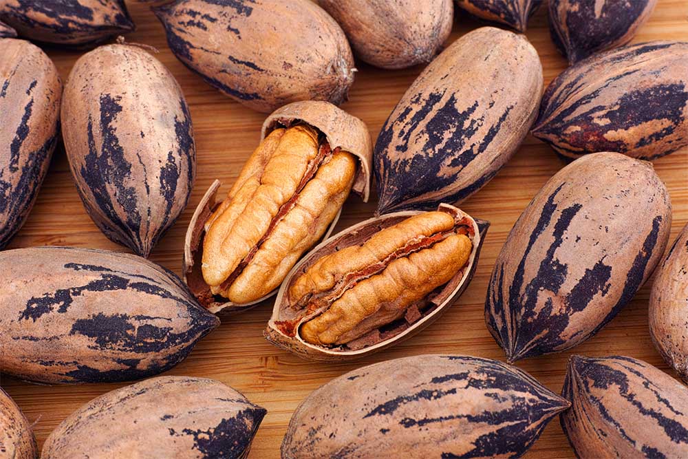 Durden Pecan Family Owned USA Grown Premium Pecans